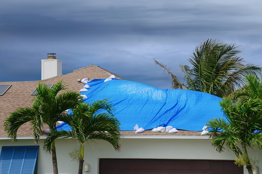 Storm Damage Claim